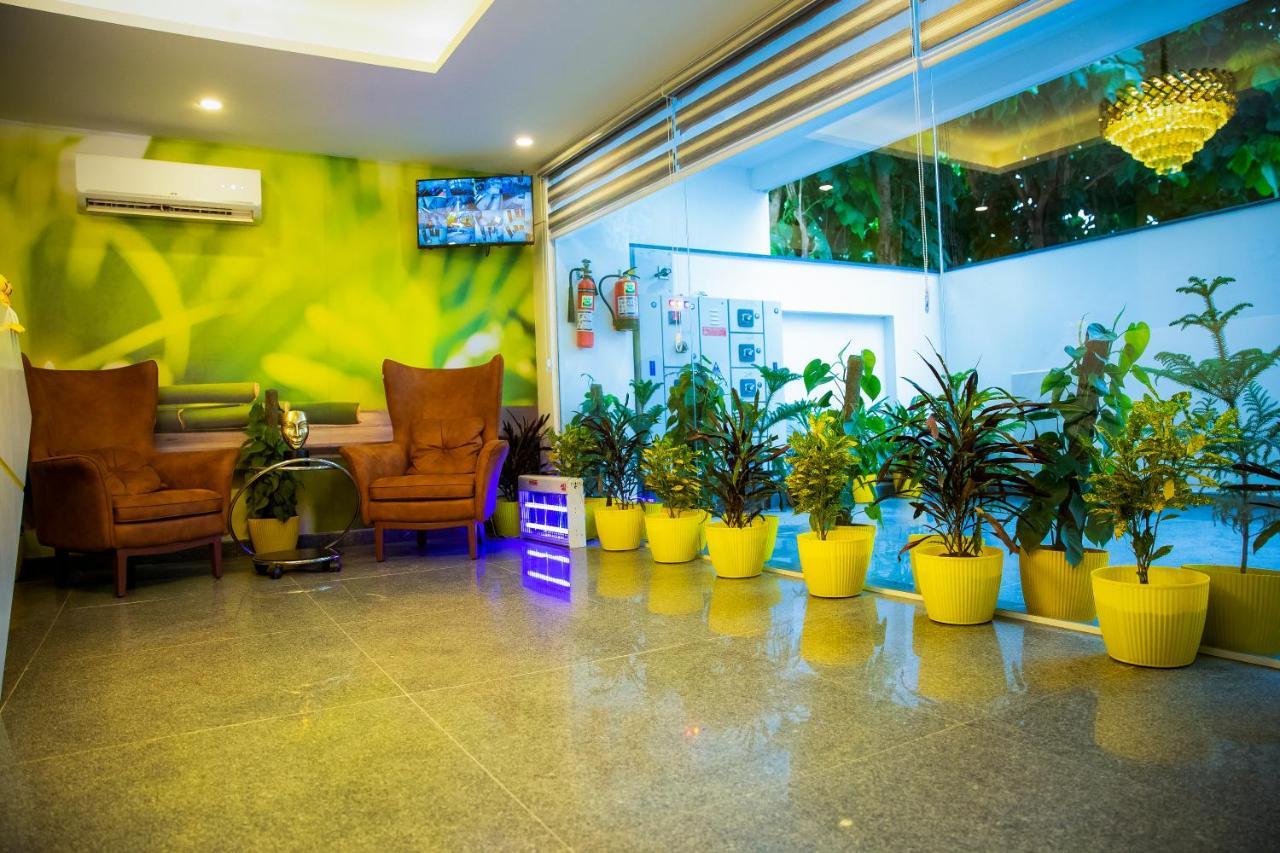 Lime Tree Luxury Studio - Service Apartment Near Artemis Hospital ,Гургаон Экстерьер фото